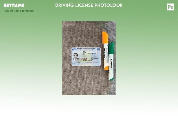 Модерен стил Израелската возачка дозвола претставува шаблон ФРОНТ со photolook